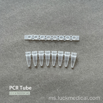 Jalur tiub PCR 8 0.2ml